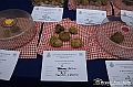 VBS_6915 - Fiera dei Santi - 12.ma Fiera Nazionale del Tartufo